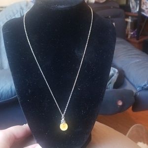 Sundance seed necklace